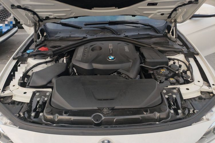 Used BMW 3 Series 2019 320Li M Sport Package Engine Bay