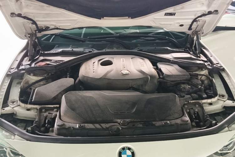 Used BMW 3 Series 2019 320Li Fashion Model Engine Bay