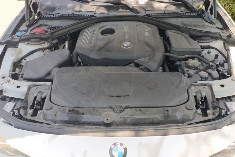Used BMW 3 Series 2019 320Li M Sport Night Edition Engine Bay