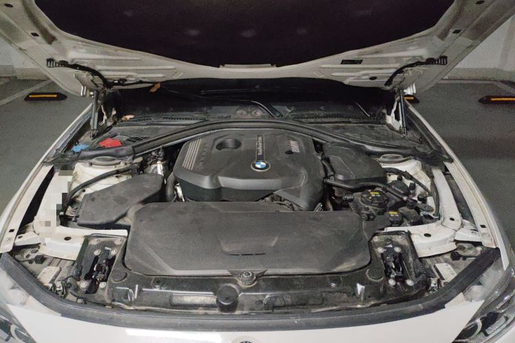 Used BMW 3 Series 2019 320Li Fashion Model Engine Bay