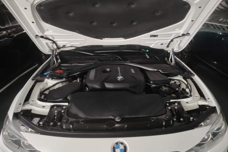 Used BMW 3 Series 2019 320Li M Sport Package Engine Bay