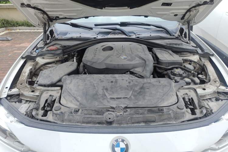 Used BMW 3 Series 2019 320Li Fashion Model Engine Bay