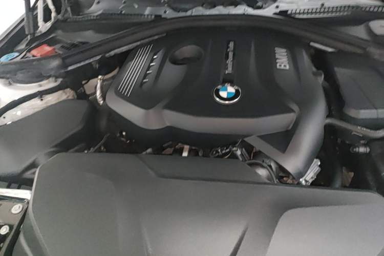 Used BMW 3 Series 2019 320Li xDrive Fashion Model Engine Bay