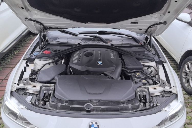 Used BMW 3 Series 2019 320Li M Sport Package Engine Bay