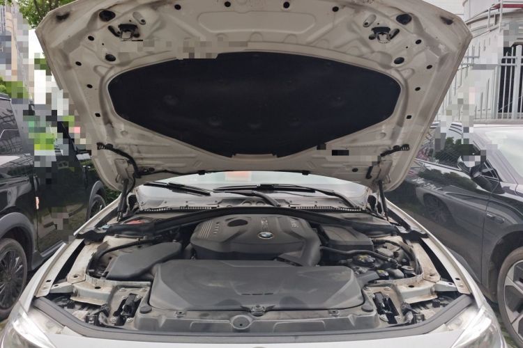 Used BMW 3 Series 2019 320Li Fashion Model Engine Bay