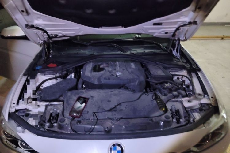 Used BMW 3 Series 2019 320Li Fashion Model Engine Bay