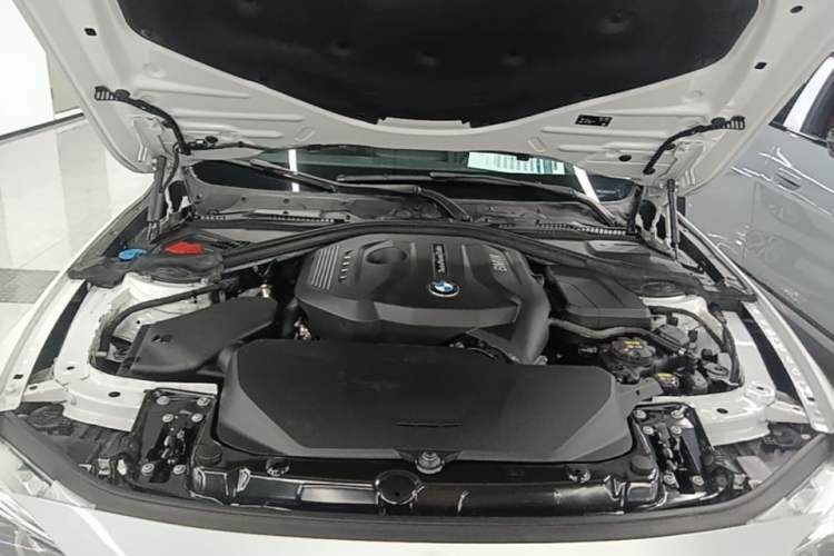 Used BMW 3 Series 2019 320Li Fashion Model Engine Bay