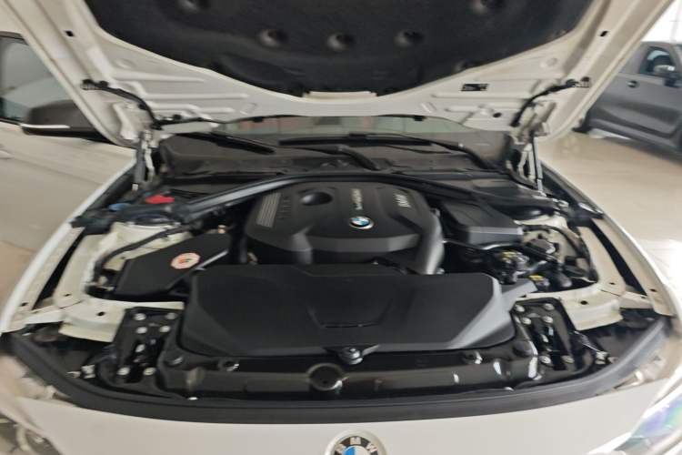 Used BMW 3 Series 2019 320i M Sport Package Engine Bay