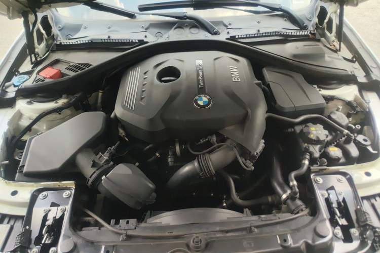Used BMW 3 Series 2019 320Li M Sport Package Engine Bay