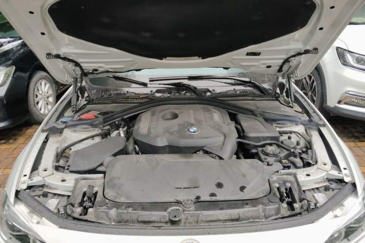 Used BMW 3 Series 2019 320Li Fashion Model Engine Bay
