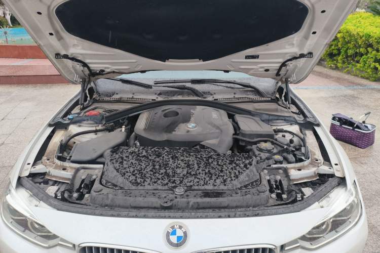 Used BMW 3 Series 2019 320Li Fashion Model Engine Bay
