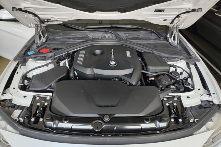 Used BMW 3 Series 2019 320Li Fashion Model Engine Bay