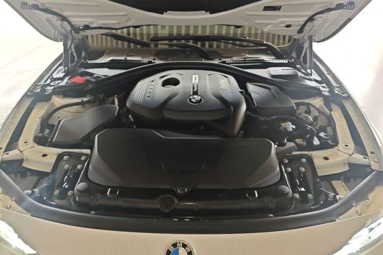 Used BMW 3 Series 2019 320Li Fashion Model Engine Bay