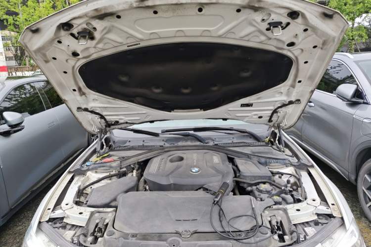 Used BMW 3 Series 2019 320Li Fashion Model Engine Bay