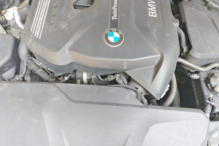 Used BMW 3 Series 2019 320Li M Sport Package Engine Bay