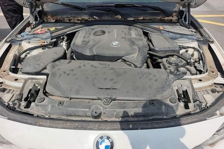 Used BMW 3 Series 2019 320Li M Luxury Package Engine Bay