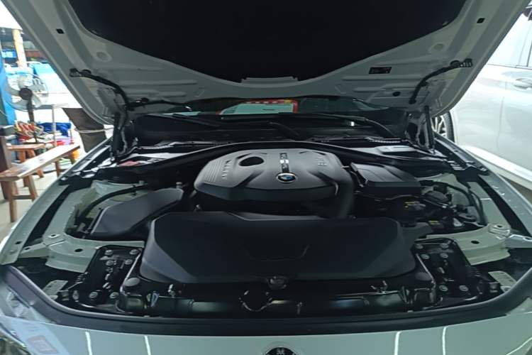 Used BMW 3 Series 2019 320Li Fashion Model Engine Bay
