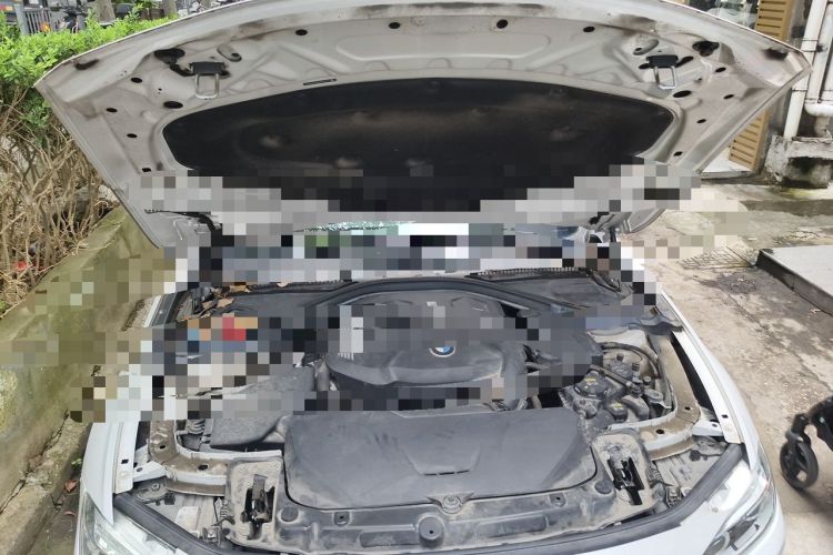 Used BMW 3 Series 2019 320Li Fashion Model Engine Bay