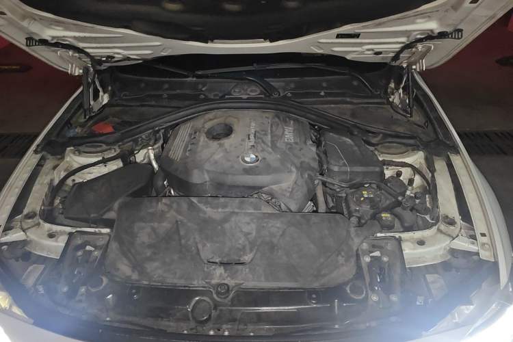Used BMW 3 Series 2019 320Li M Luxury Package Engine Bay