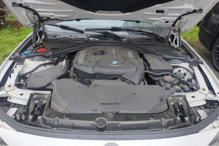 Used BMW 3 Series 2019 320Li Fashion Model Engine Bay