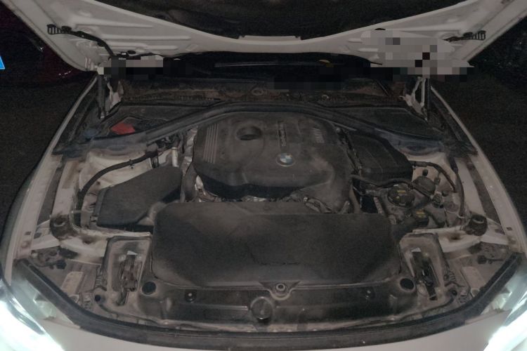 Used BMW 3 Series 2019 320Li M Sport Night Edition Engine Bay
