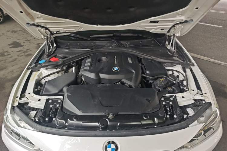 Used BMW 3 Series 2019 320Li Fashion Model Engine Bay