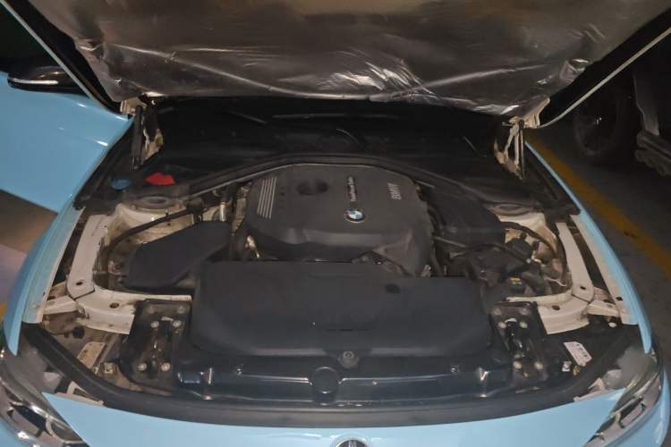Used BMW 3 Series 2019 320Li Fashion Model Engine Bay