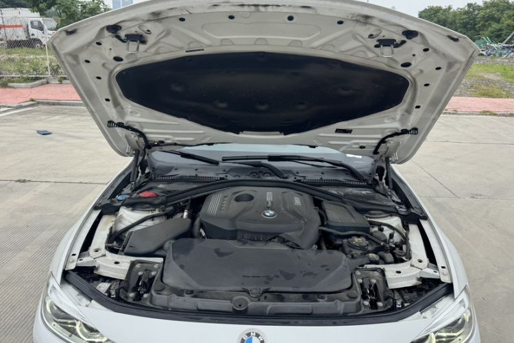 Used BMW 3 Series 2019 320Li xDrive Fashion Model Engine Bay