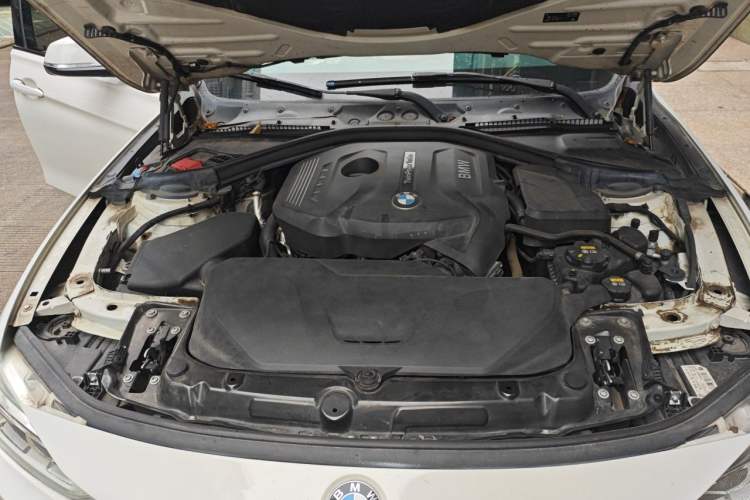 Used BMW 3 Series 2019 320Li M Luxury Package Engine Bay