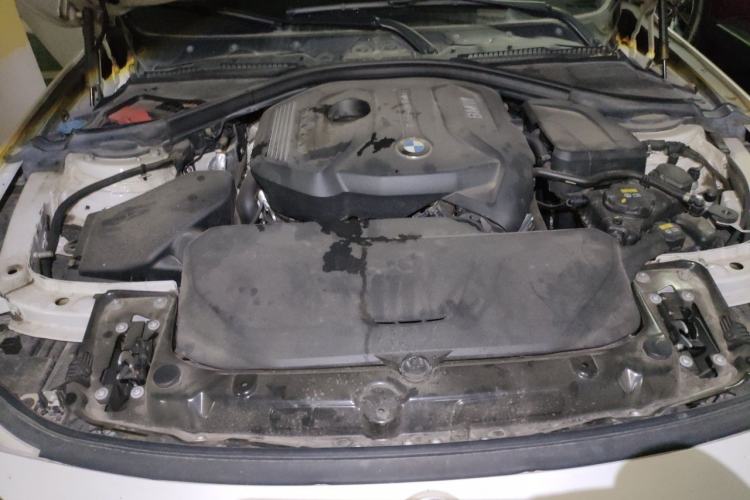 Used BMW 3 Series 2019 320Li Fashion Model Engine Bay