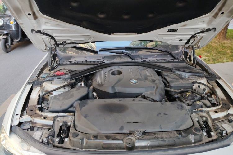 Used BMW 3 Series 2019 320Li Fashion Model Engine Bay