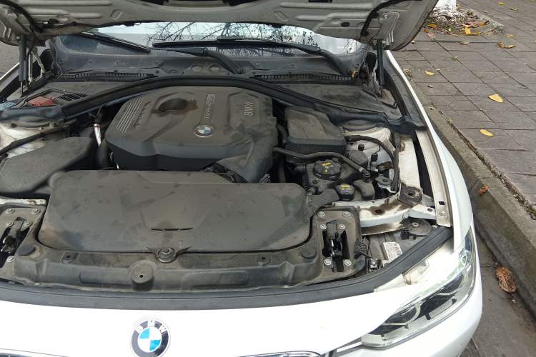 Used BMW 3 Series 2019 320Li Fashion Model Engine Bay Left