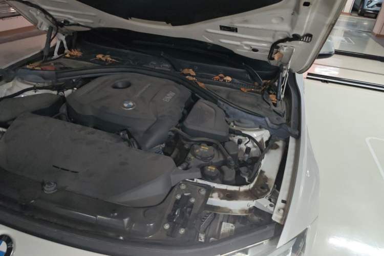 Used BMW 3 Series 2019 320Li Fashion Model Engine Bay Left