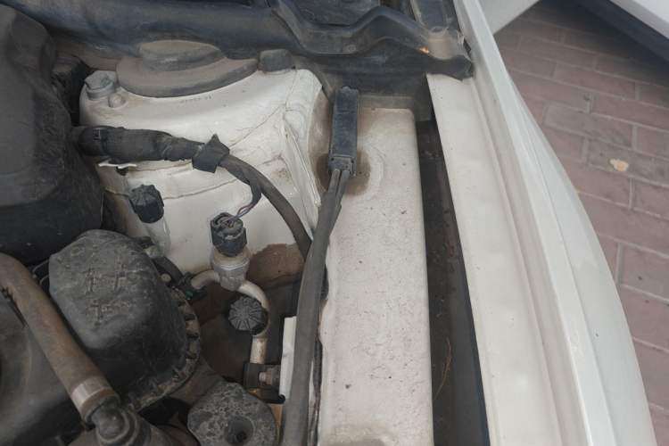 Used BMW 3 Series 2019 320Li Fashion Model Engine Bay Left