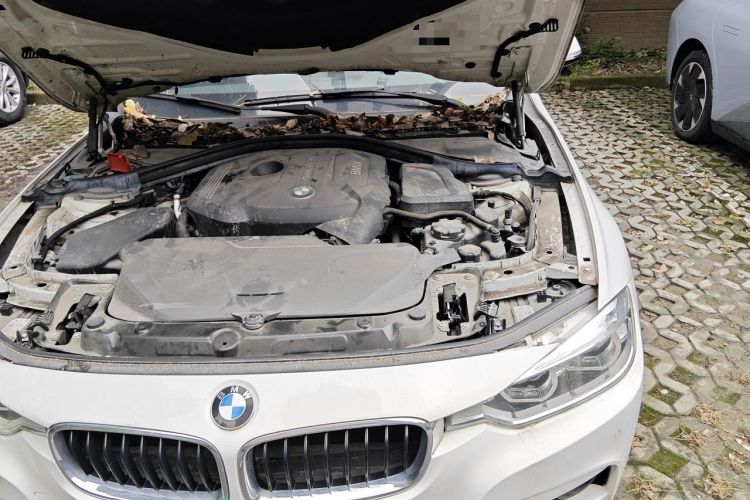 Used BMW 3 Series 2019 320Li M Sport Package Engine Bay Left