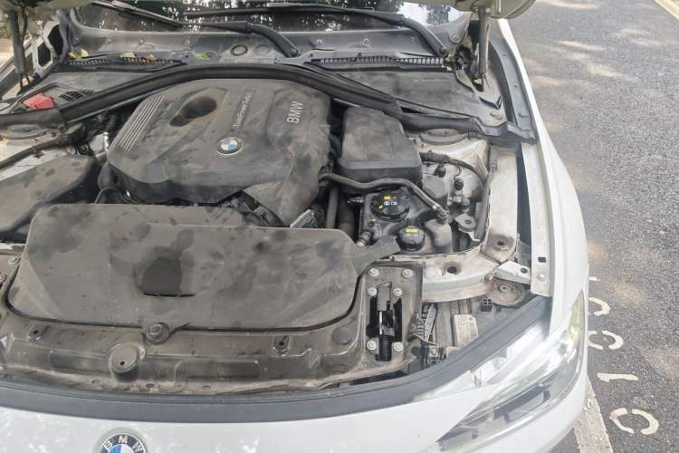 Used BMW 3 Series 2019 320Li Fashion Model Engine Bay Left