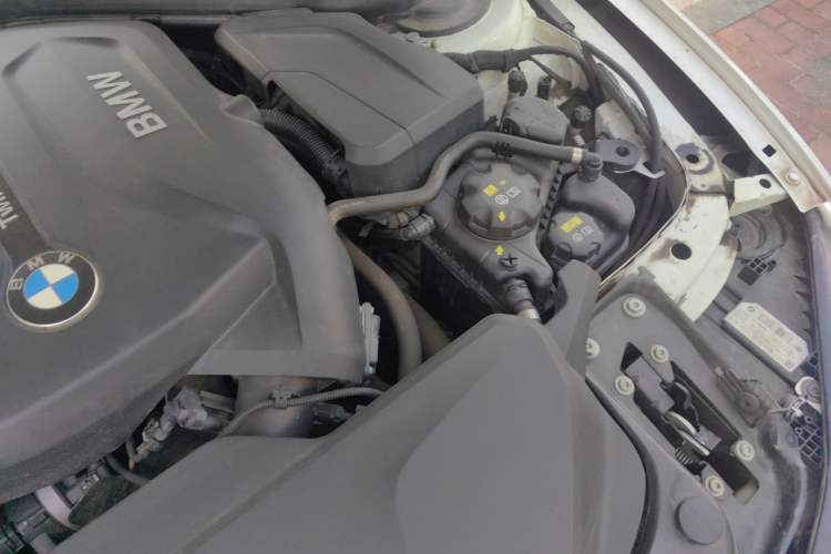 Used BMW 3 Series 2019 320Li M Sport Package Engine Bay Left