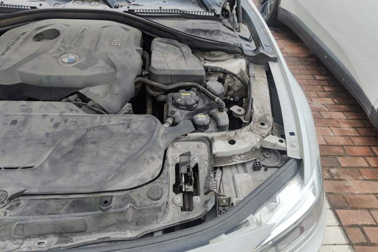 Used BMW 3 Series 2019 320Li Fashion Model Engine Bay Left