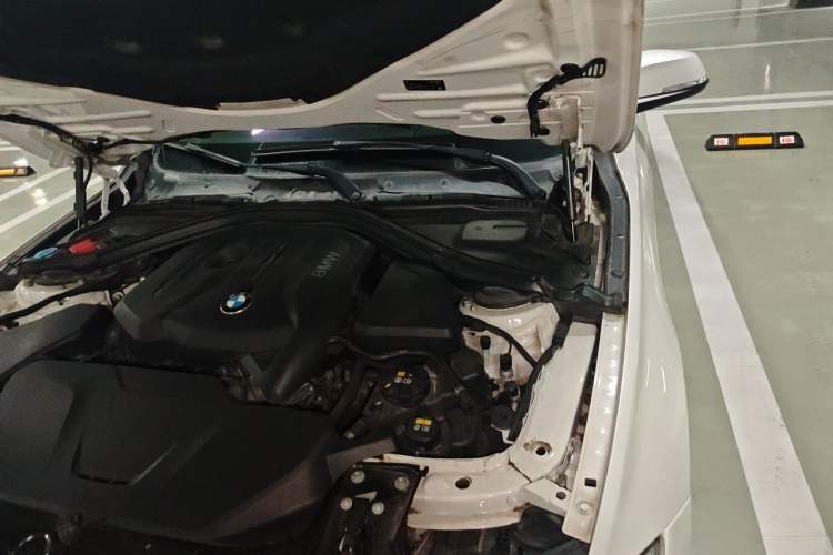 Used BMW 3 Series 2019 320Li Fashion Model Engine Bay Left