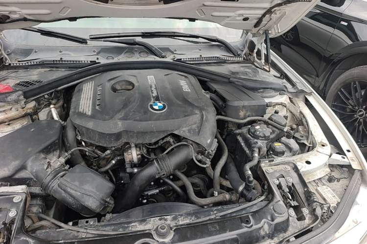 Used BMW 3 Series 2019 320Li Fashion Model Engine Bay Left