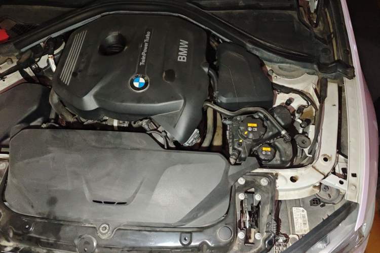 Used BMW 3 Series 2019 320Li Fashion Model Engine Bay Left