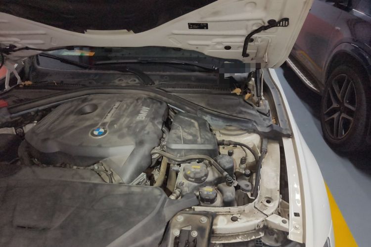 Used BMW 3 Series 2019 320Li M Luxury Package Engine Bay Left