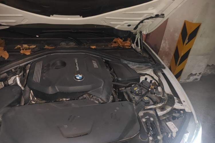 Used BMW 3 Series 2019 320Li Fashion Model Engine Bay Left