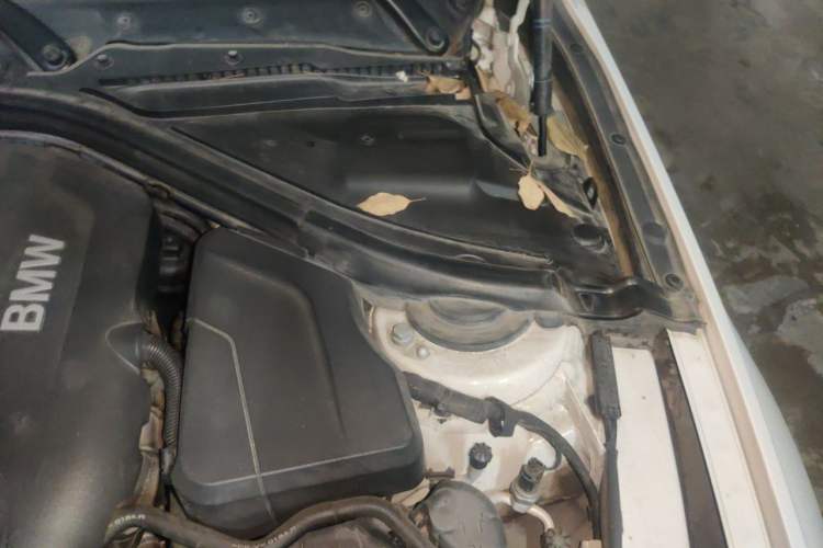 Used BMW 3 Series 2019 320Li M Sport Package Engine Bay Left