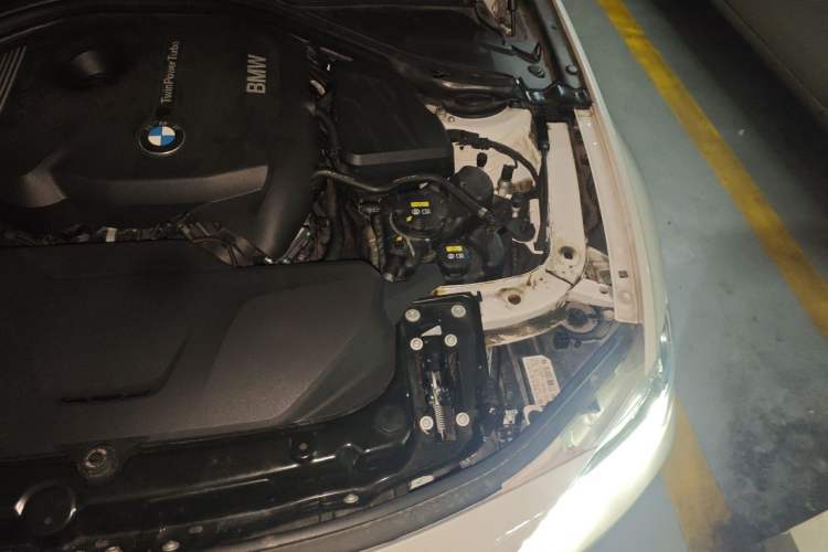Used BMW 3 Series 2019 320Li Fashion Model Engine Bay Left