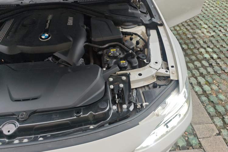 Used BMW 3 Series 2019 320Li Fashion Model Engine Bay Left