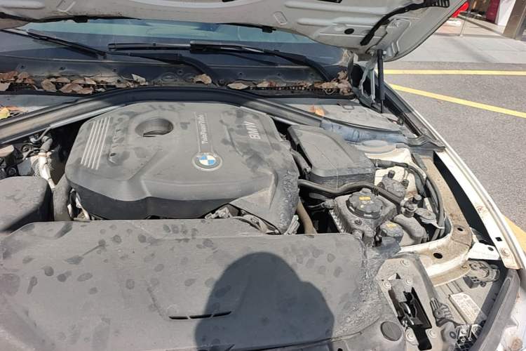 Used BMW 3 Series 2019 320Li M Luxury Package Engine Bay Left