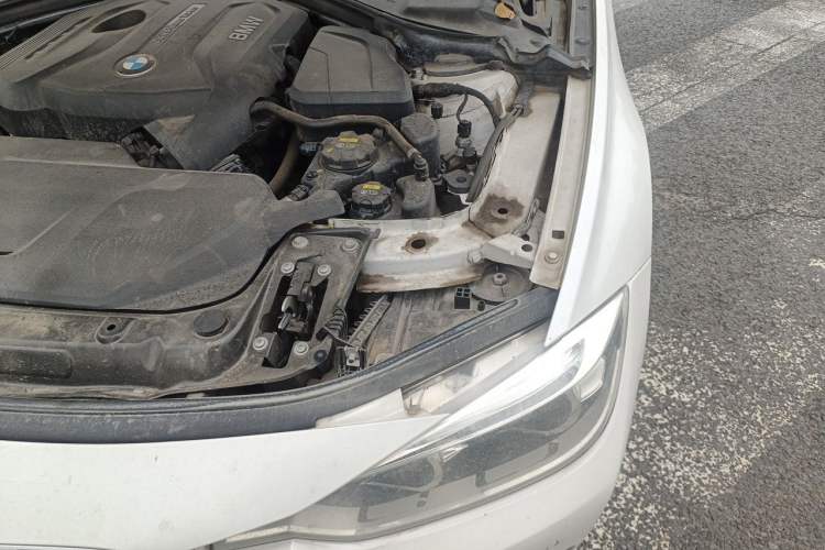 Used BMW 3 Series 2019 320Li Fashion Model Engine Bay Left