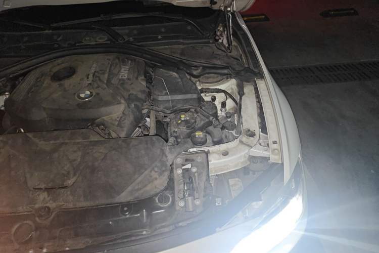 Used BMW 3 Series 2019 320Li M Luxury Package Engine Bay Left