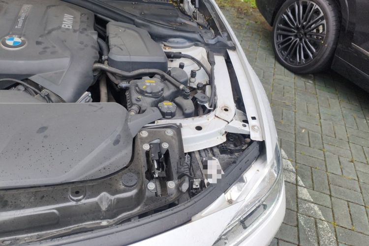 Used BMW 3 Series 2019 320Li Fashion Model Engine Bay Left